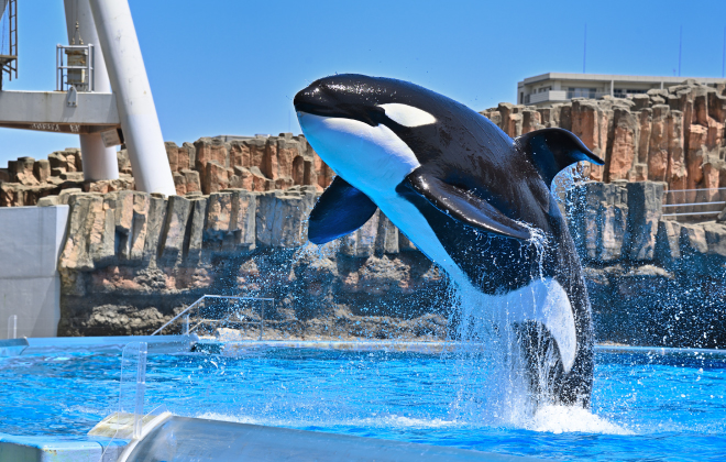 名古屋港水族館